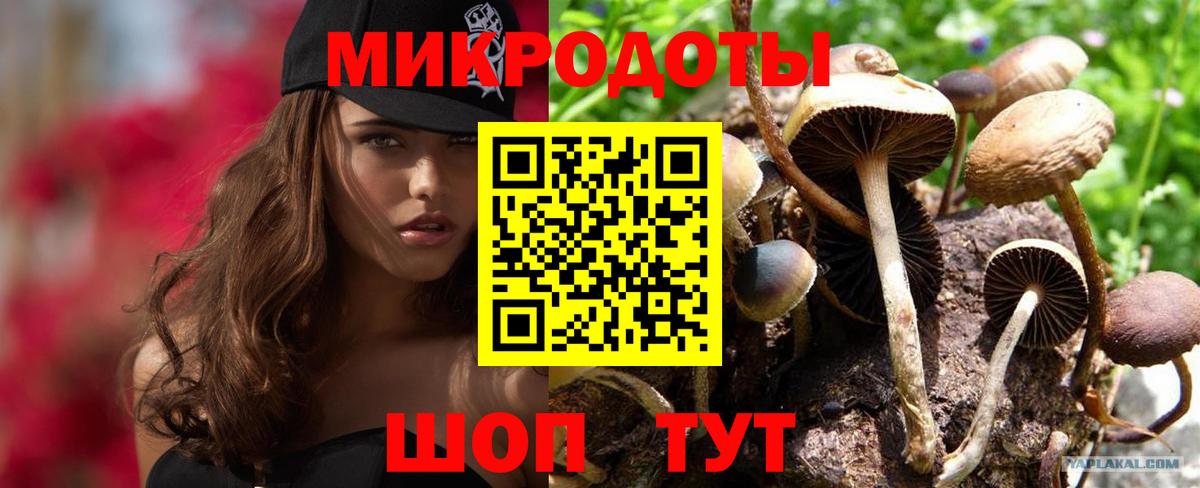 Комсомольск-на-Амуре  Псилоцибиновые грибы Cubensis  Вход с VPN 